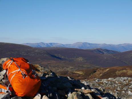 12194724_955239921212674_1417394373692604635_o