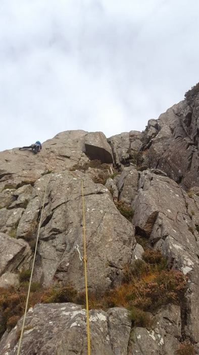 14877912_10209603142588134_1450074535_n