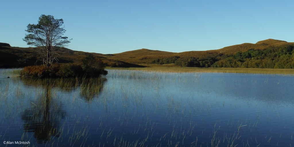Autumn light and&nbsp;leaf