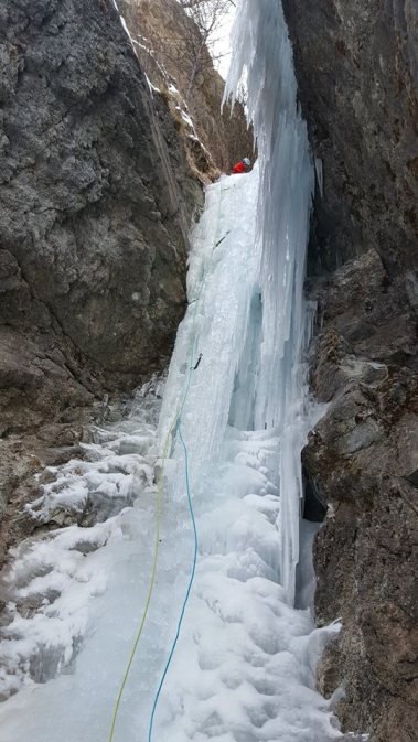 16266159_10154938457641944_8975944477655198761_n