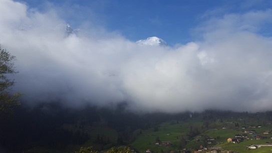 18358691_10155266818211944_7347658321517641295_o