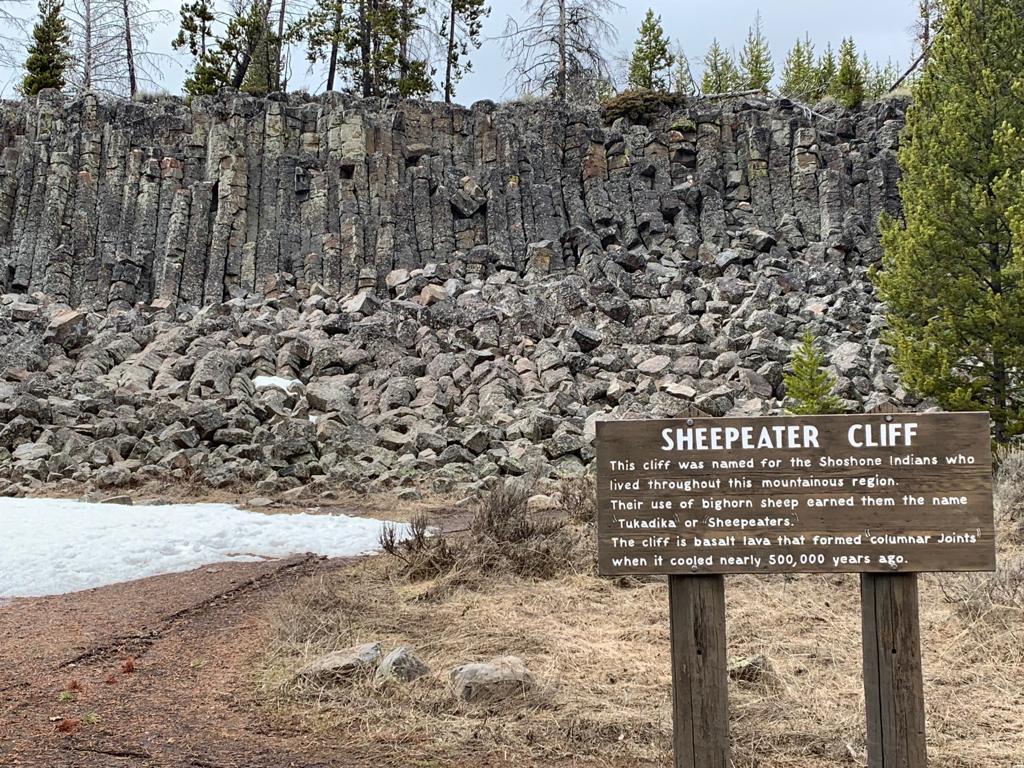 988f9d8b-ce2d-4c73-a85b-bb1c38ae7ff3 (1)