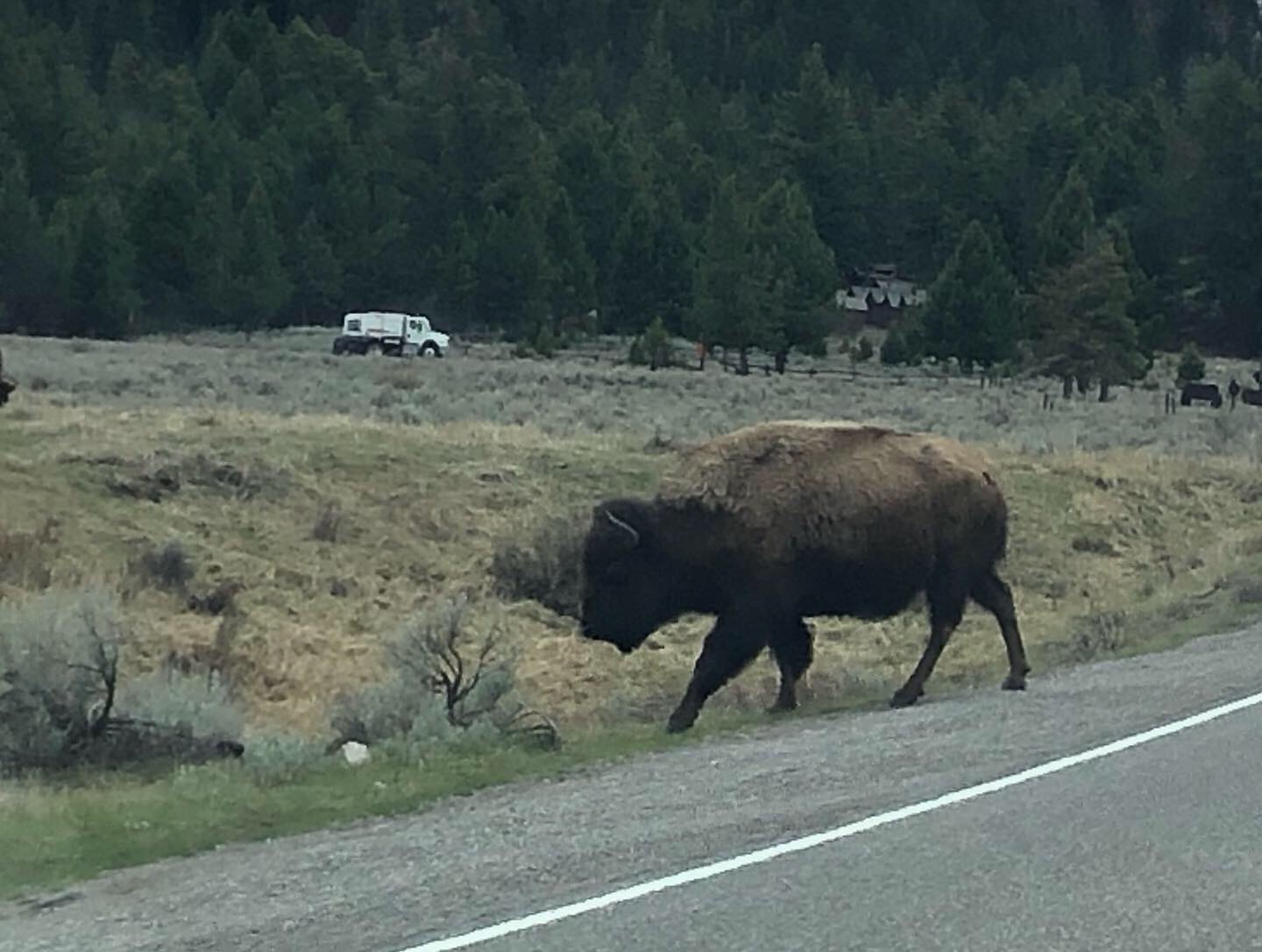 CBFB5F14-B1A2-4624-9B99-32E5B9418ECC