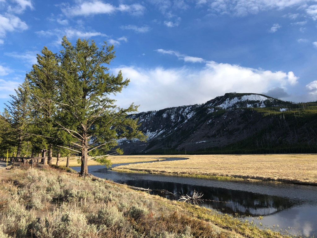 US Nat Park Report #5 Yellowstone Day&nbsp;3