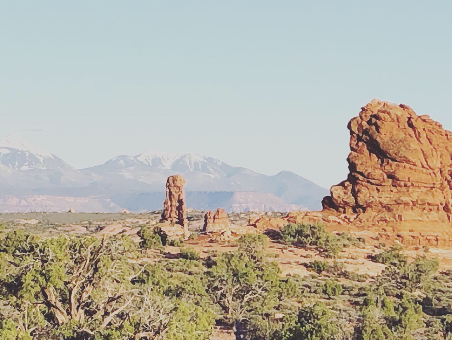 A4DAA51F-6817-4125-93E9-F02FCD1CE4E2