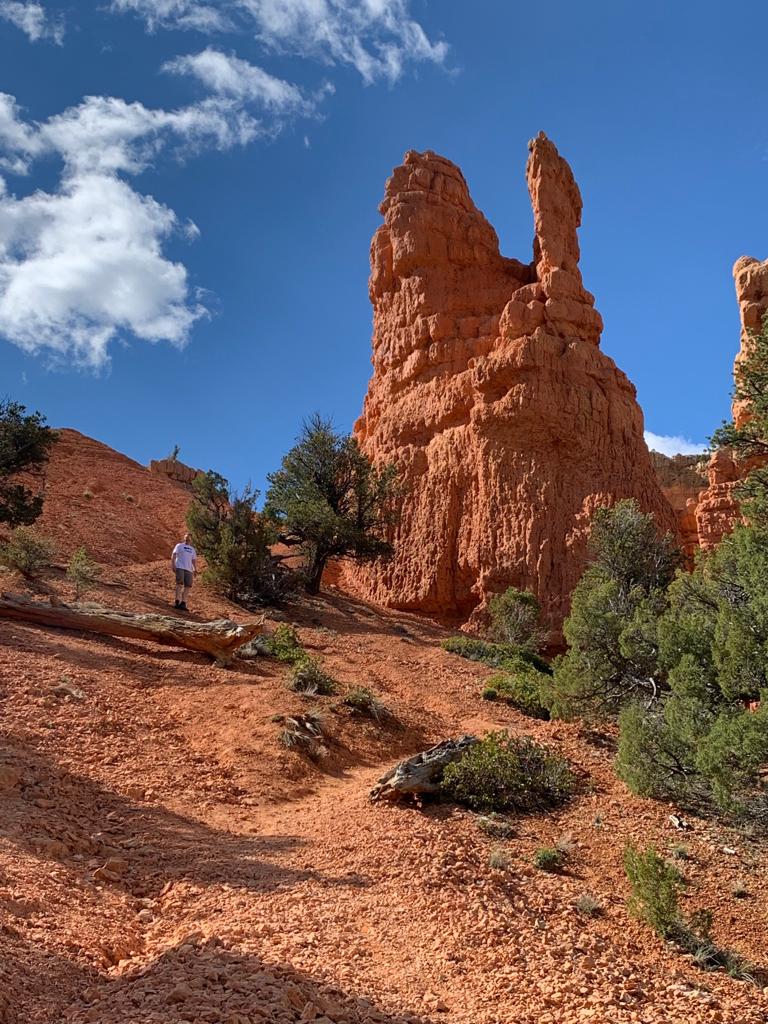 a14fb3d1-7977-4cf2-bc4f-fdfa6eb38190