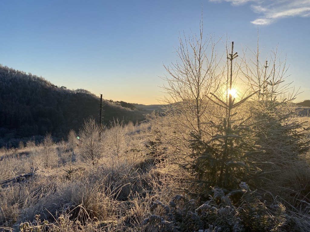 Monday’s suck. Right? Not&nbsp;always!